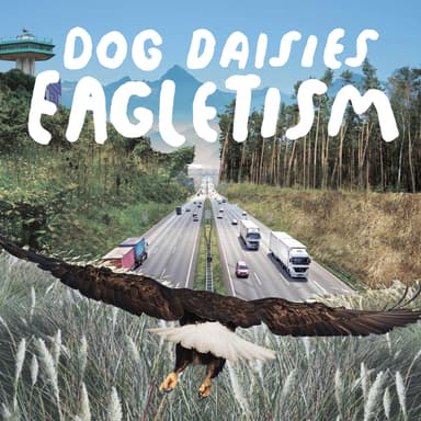 dog daisies artwork