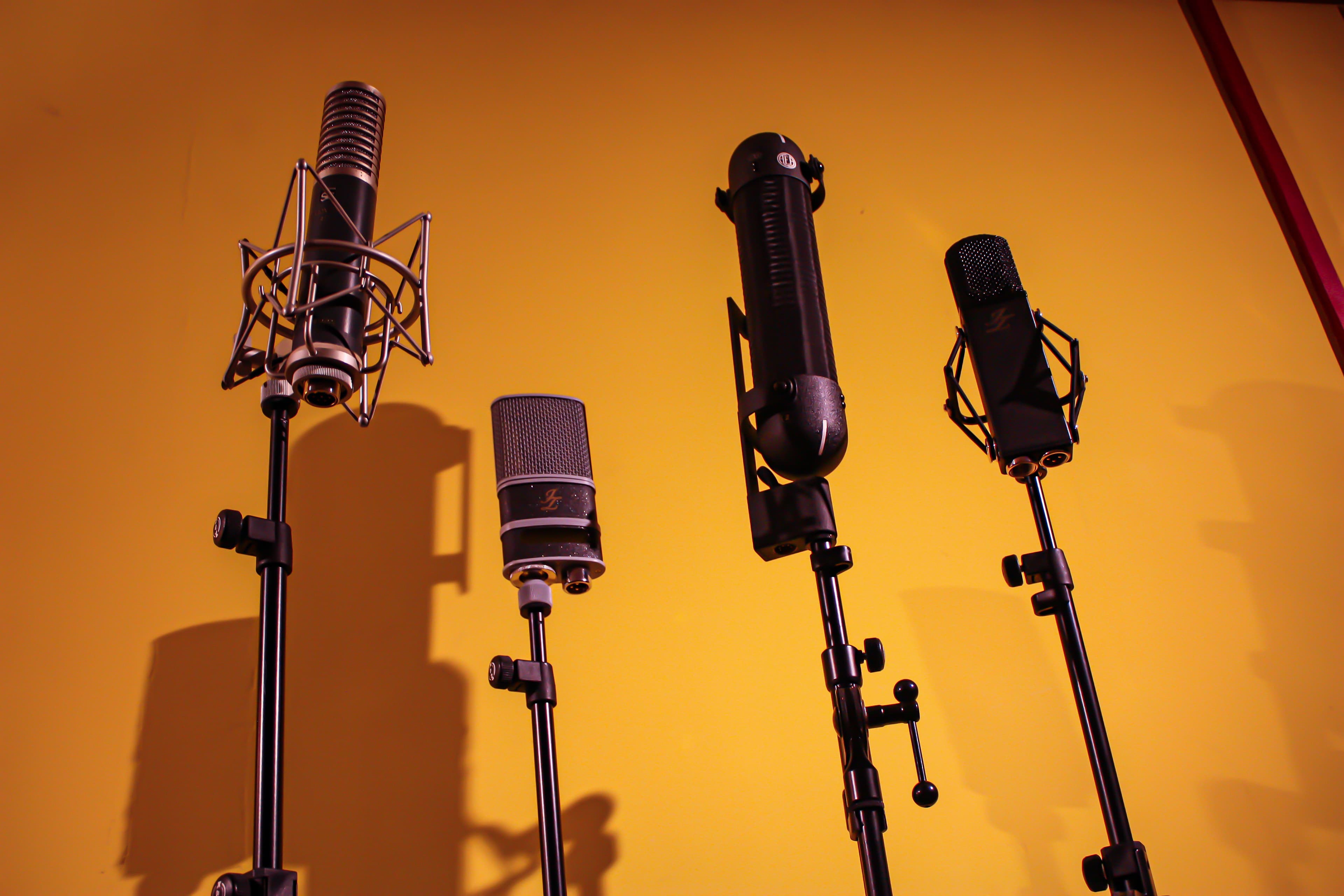 a selection of microphones from trapdoor recording studio